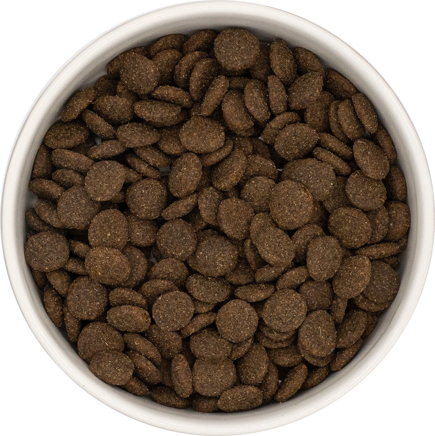 SayGrace Grain-Free Adult Tender Lamb Dry Dog Food