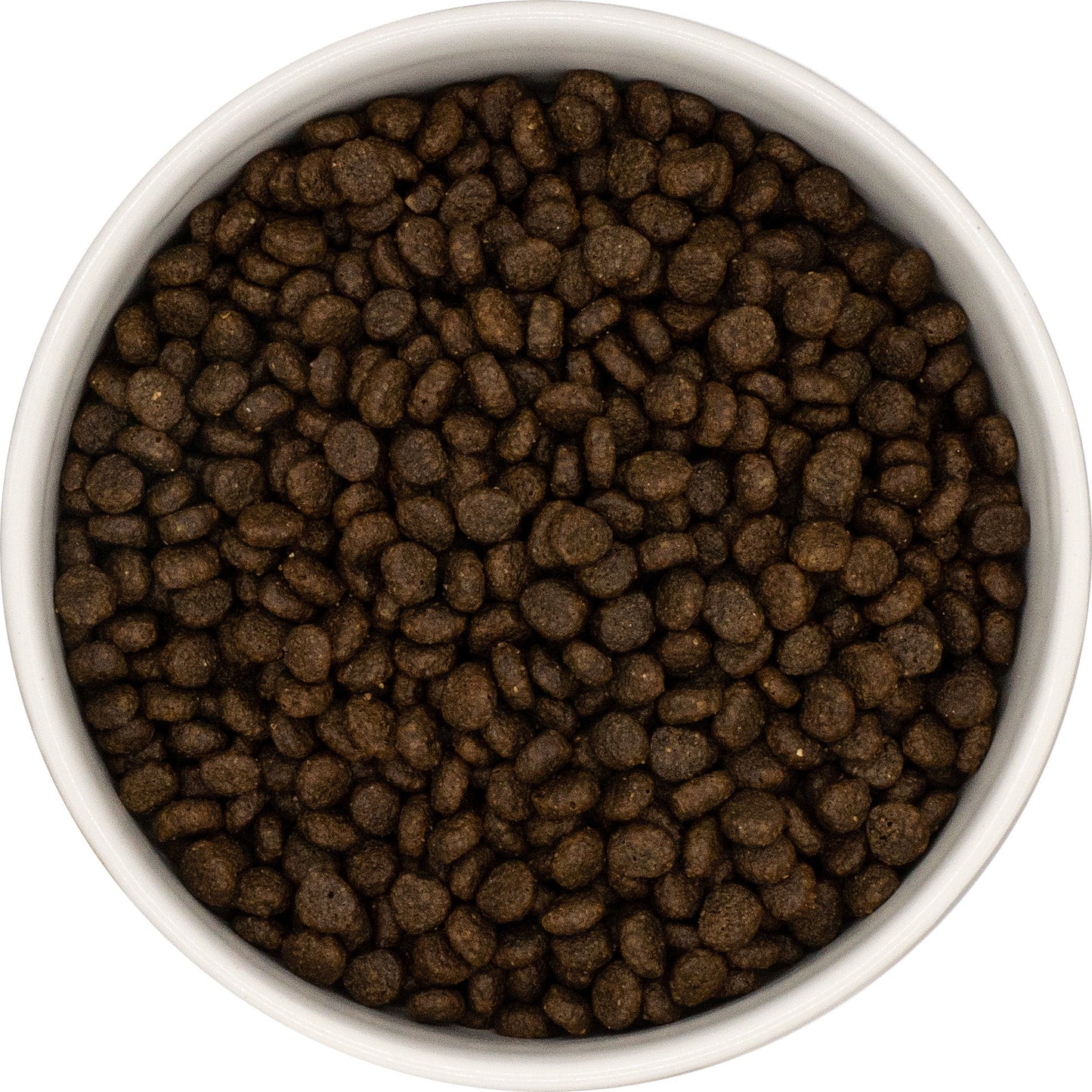 SayGrace Grain-Free Small Breed Nourishing Salmon with Trout Dry Dog Food
