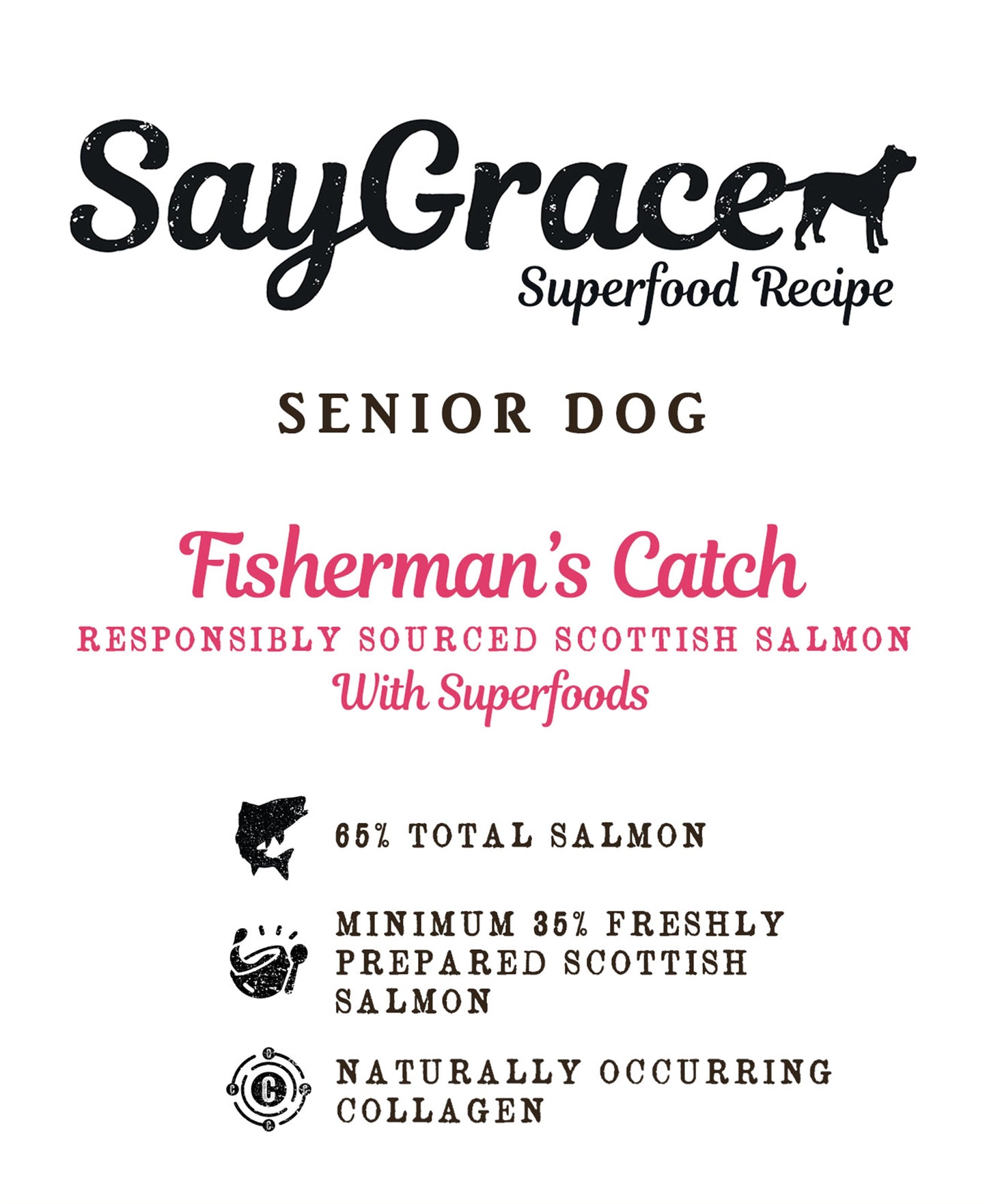 SayGrace Superfood Senior Fisherman's Catch Responsibly Sourced Scottish Salmon Dry Dog Food