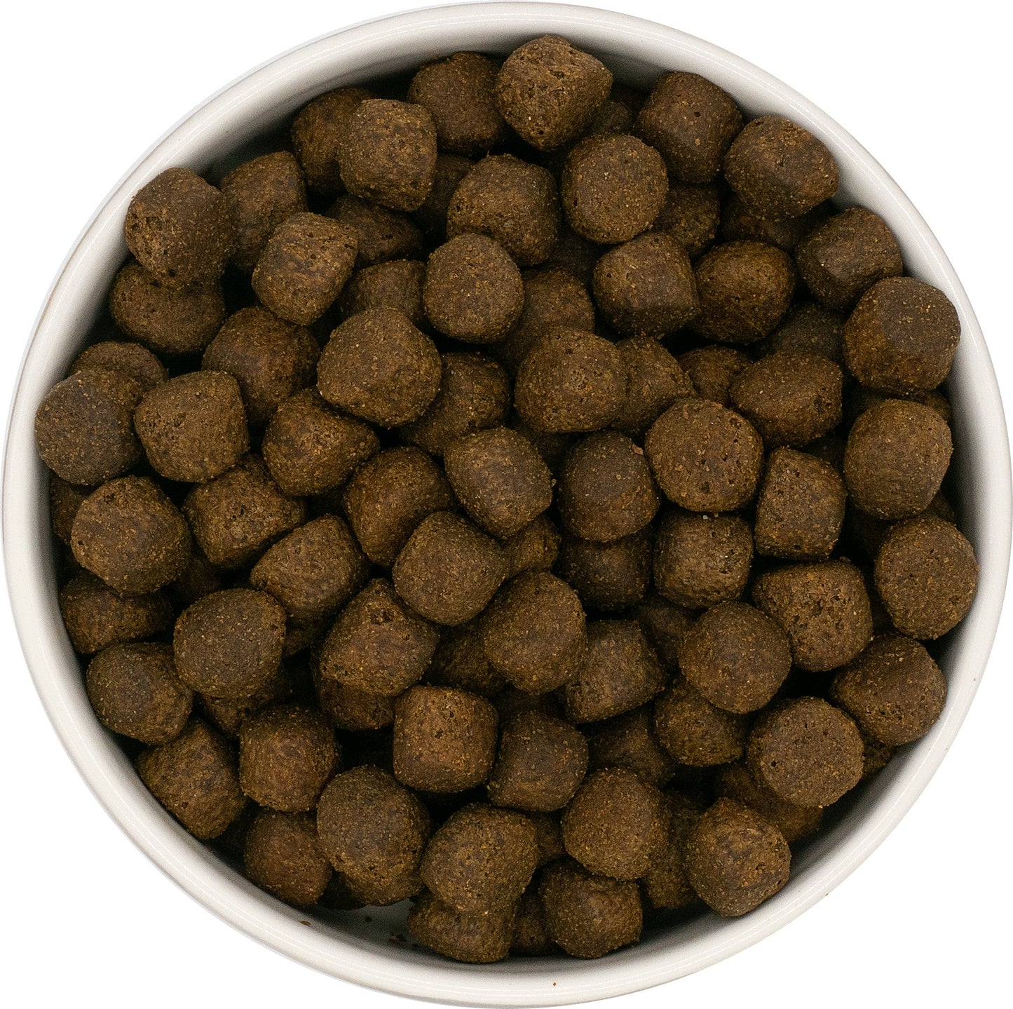 SayGrace Grain-Free Large Breed Puppy Nourishing Salmon Dry Dog Food