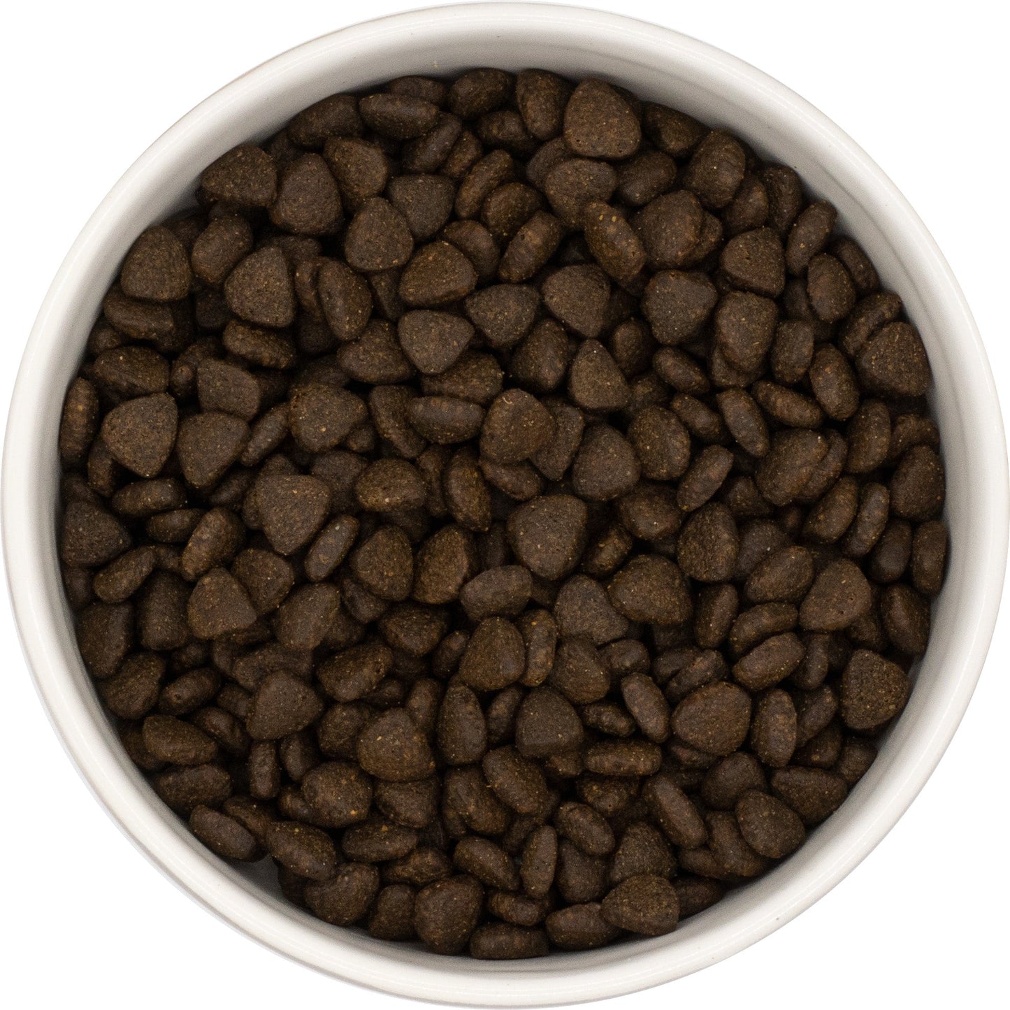 SayGrace Superfood Puppy Fisherman's Catch Responsibly Sourced Scottish Salmon Dry Dog Food