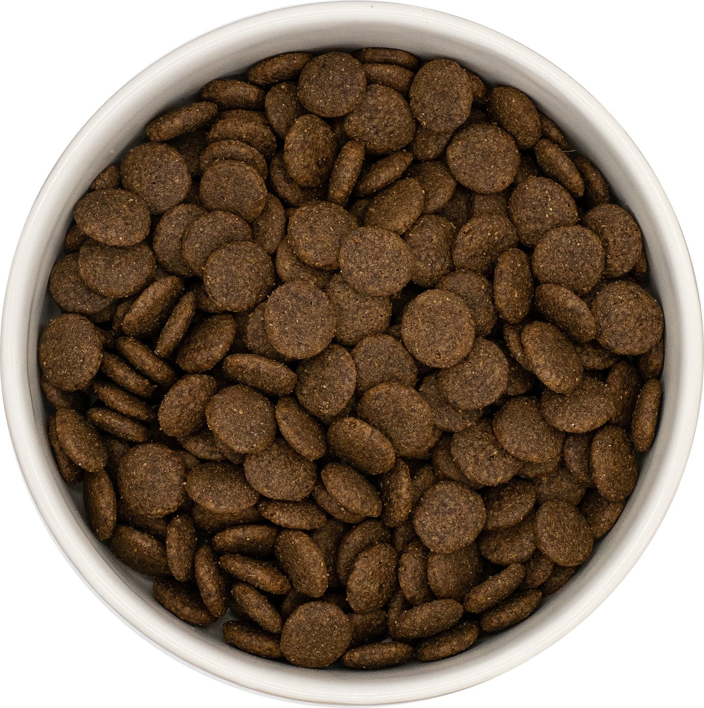 SayGrace Grain-Free Adult Hearty Beef Dry Dog Food