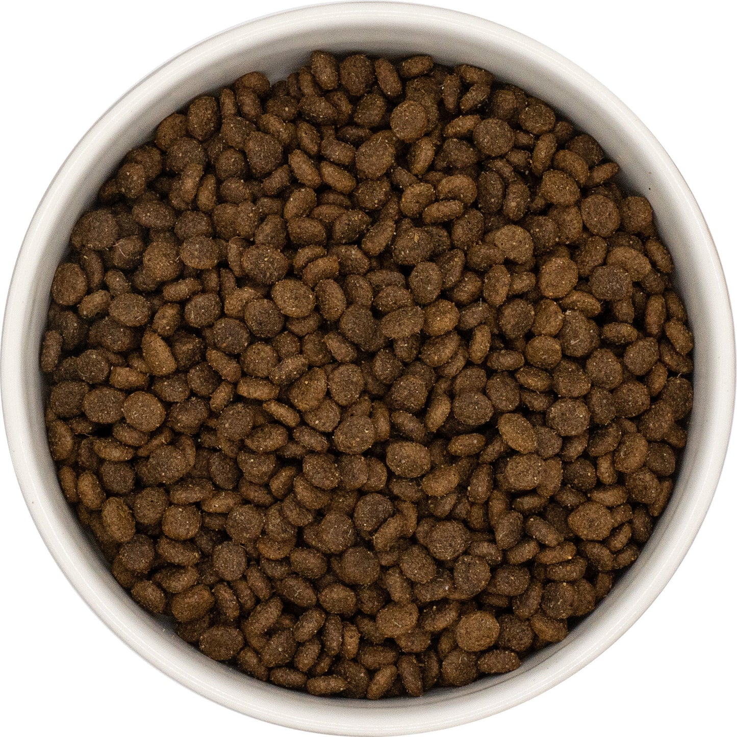 SayGrace Grain-Free Small Breed Tender Lamb Dry Dog Food