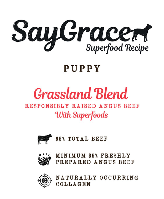 SayGrace Superfood Puppy Grassland Blend Responsibly Raised Angus Beef Dry Dog Food