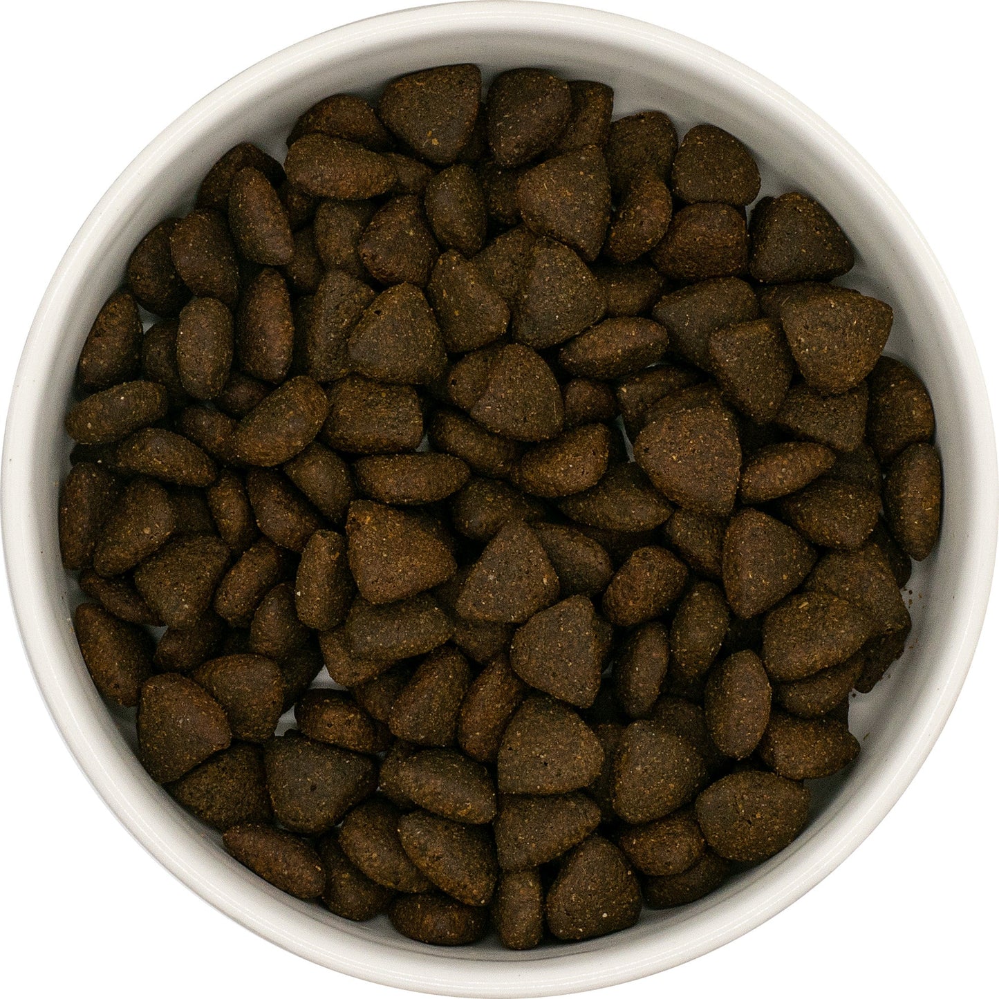 SayGrace Superfood Senior Fisherman's Catch Responsibly Sourced Scottish Salmon Dry Dog Food