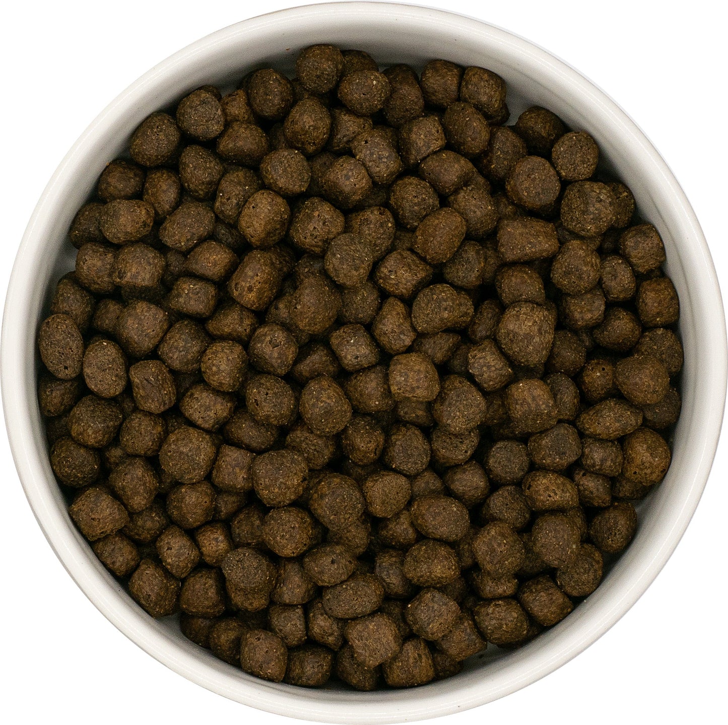 SayGrace Grain-Free Puppy Tasty Trio of Fish Dry Dog Food