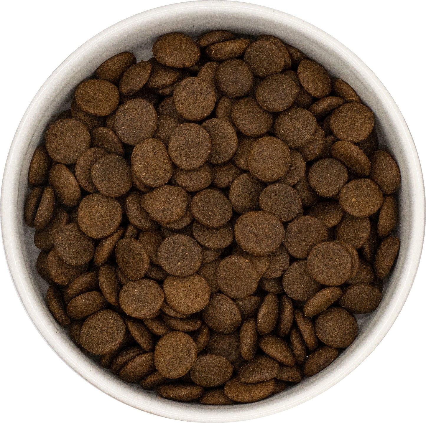 SayGrace Grain-Free Adult Wholesome Rabbit Dry Dog Food